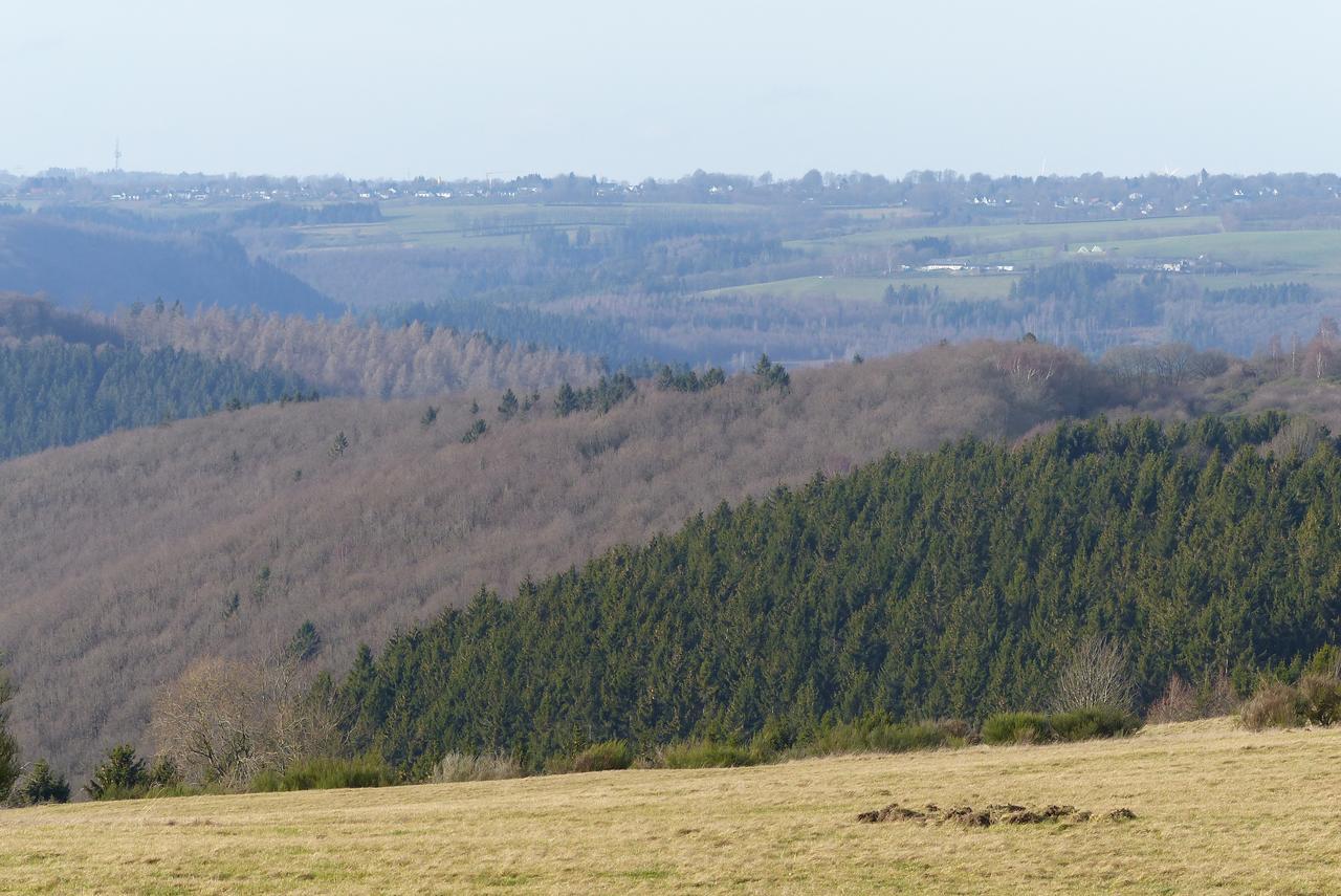 שליידן Chalets Am National Park Eifel מראה חיצוני תמונה