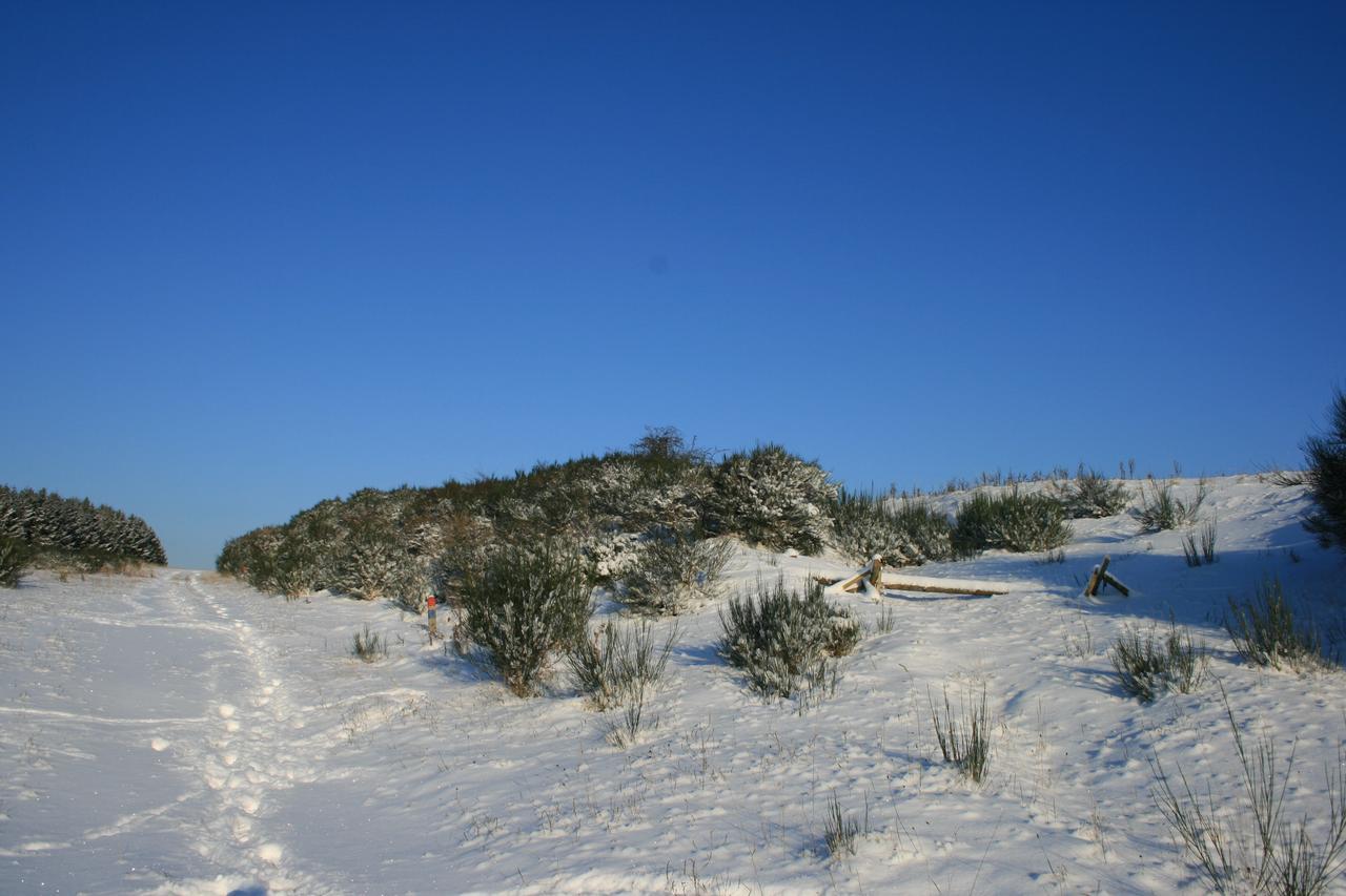 שליידן Chalets Am National Park Eifel מראה חיצוני תמונה